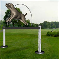 Dog Trainer VR Sample